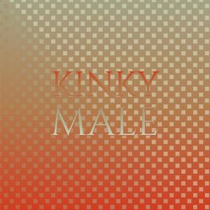 อัลบัม Kinky Male ศิลปิน Various