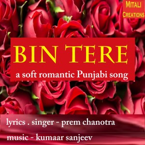 Prem Chanotra的专辑Bin Tere