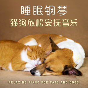 Album 睡眠钢琴‧猫狗放松安抚音乐 oleh Noble Music Project