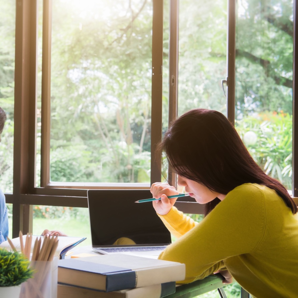 Study Success Dreams