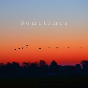 收听Monologue的Sometimes歌词歌曲