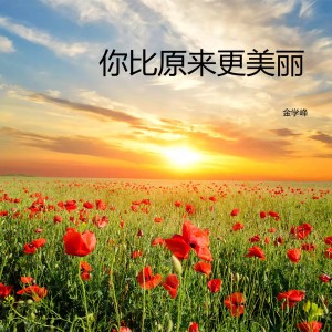 Album 你比原来更美丽 from 金学峰