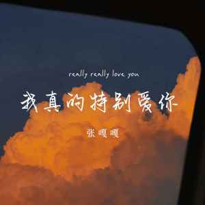 Album 我真的特别爱你 from 张嘎嘎