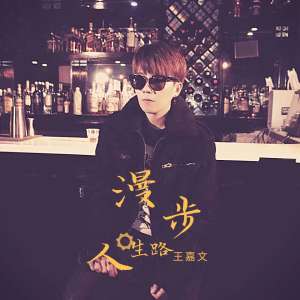 收聽王嘉文的漫步人生路 (DJ醬爆魷魚版)歌詞歌曲