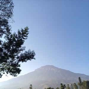 收听SAIKHUL AMIN的Fihayas Futul Iman歌词歌曲