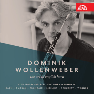 Dominik Wollenweber的專輯The Art of English Horn