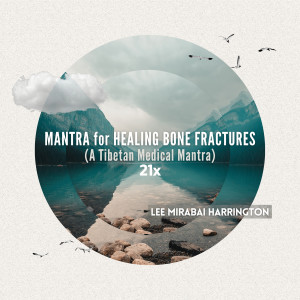 Listen to Mantra for Healing Bone Fractures (A Tibetan Medical Mantra) 21x song with lyrics from Lee Mirabai Harrington
