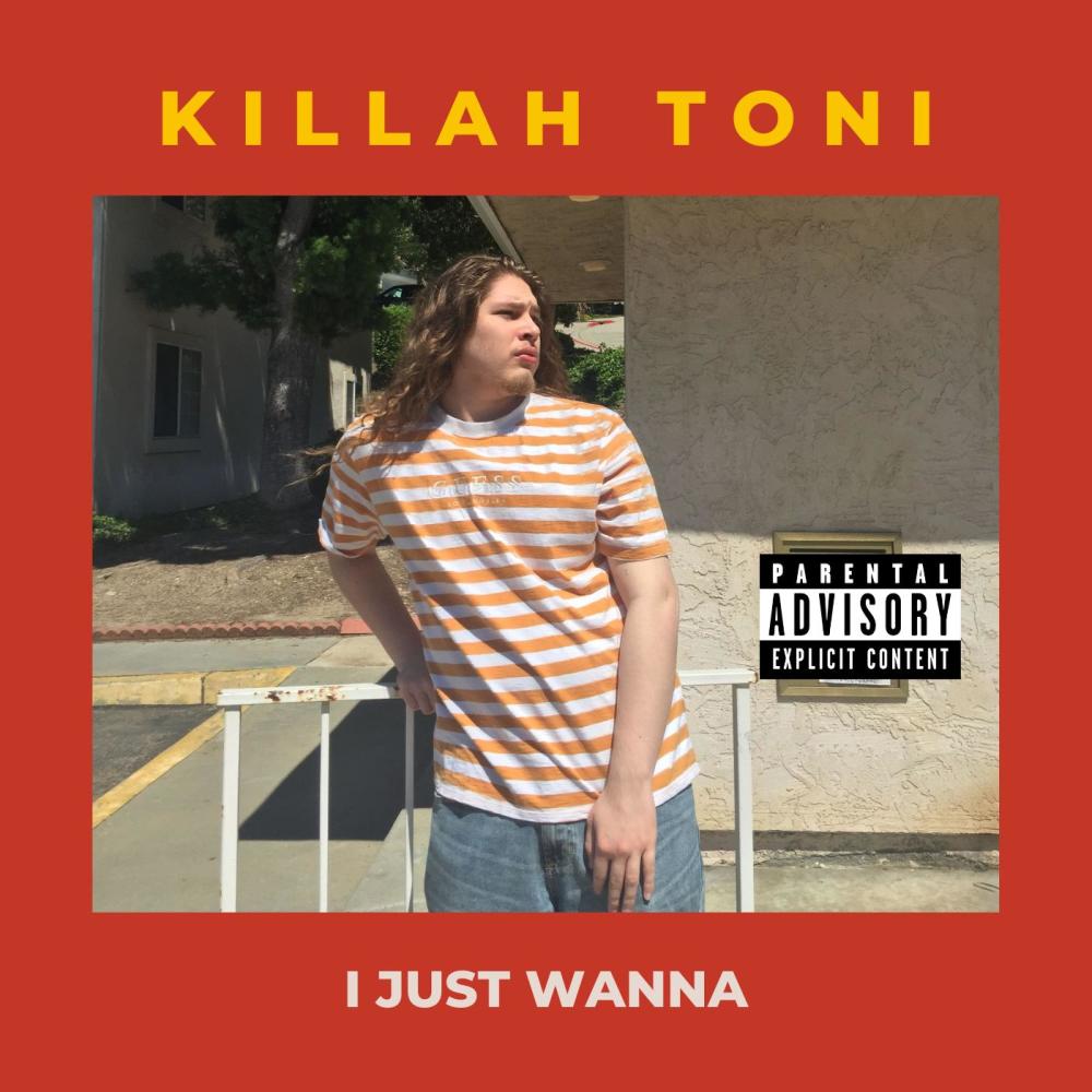 I Just Wanna (Explicit)