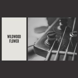 Album Wildwood Flower oleh Eric Von Schmidt