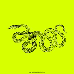 Listen to Snake song with lyrics from Mouzill