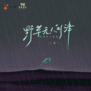 Album 野草无人问津（玫瑰众人爱惜） from 洛一