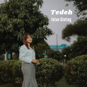 Album Tedeh oleh Intan Ginting