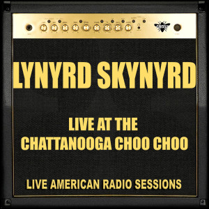 ดาวน์โหลดและฟังเพลง Cheatin' Woman (Live) พร้อมเนื้อเพลงจาก Lynyrd Skynyrd