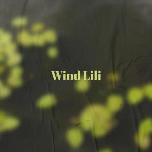 Various的专辑Wind Lili