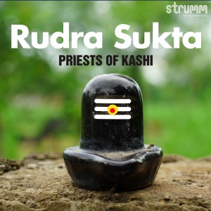 Ved Vrind的專輯Rudra Sukta