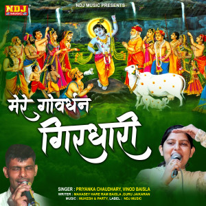 Listen to Mere Govardhan Girdhari song with lyrics from Vinod Baisla