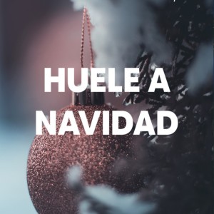 Listen to Huele a Navidad song with lyrics from DJ Merengue