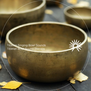 收聽Tibetan Singing Bowl Sounds的Deep Contemplation歌詞歌曲