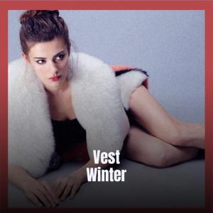 Album Vest Winter oleh Various