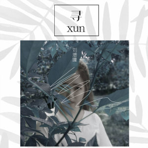 收听刘增瞳的寻歌词歌曲