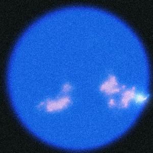 收聽Franc的Spring歌詞歌曲