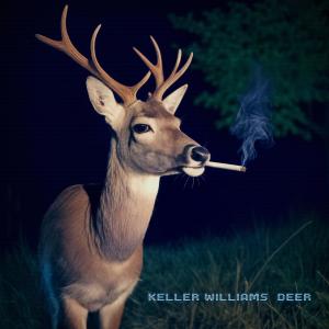 收聽Keller Williams的Lean Into歌詞歌曲