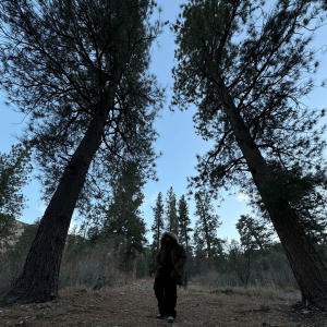 收聽Prie的Summer Solstice / Whirlwind歌詞歌曲