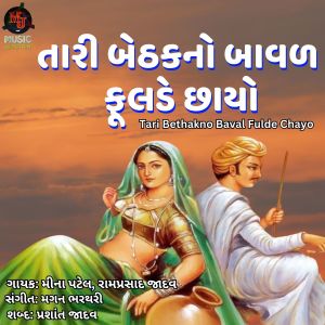 Album Tari Bethakno Baval Fulde Chayo from Meena Patel
