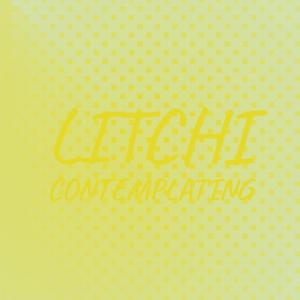 Album Litchi Contemplating from Various