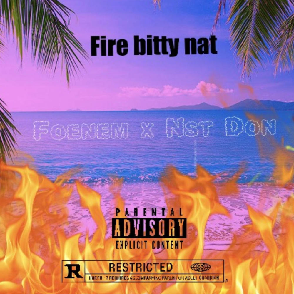 Fire bitty nat (feat. Nst don & Bfe lilnavyp) (Explicit)