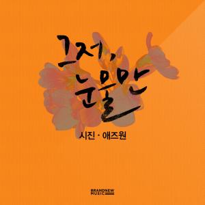 อัลบัม 그저 눈물만 ศิลปิน SIJIN