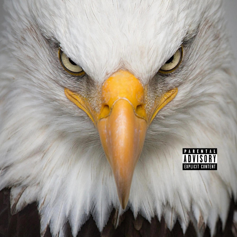 Eagle Freestyle (feat. 2s, Noka, Lassos & Lokee) (Explicit)