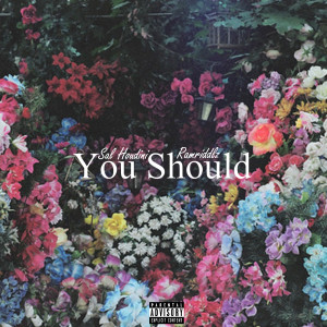 Listen to You Should (Explicit) song with lyrics from Sal Houdini