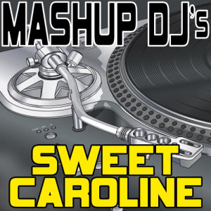 อัลบัม Sweet Caroline (Re-Mix Package For DJ's) ศิลปิน Remix Masters