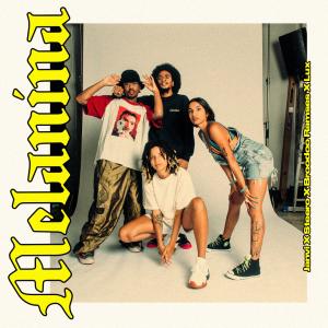 ดาวน์โหลดและฟังเพลง Melanina พร้อมเนื้อเพลงจาก Steero