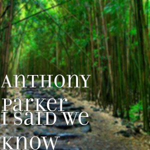Dengarkan I Said We Know lagu dari Anthony Parker dengan lirik