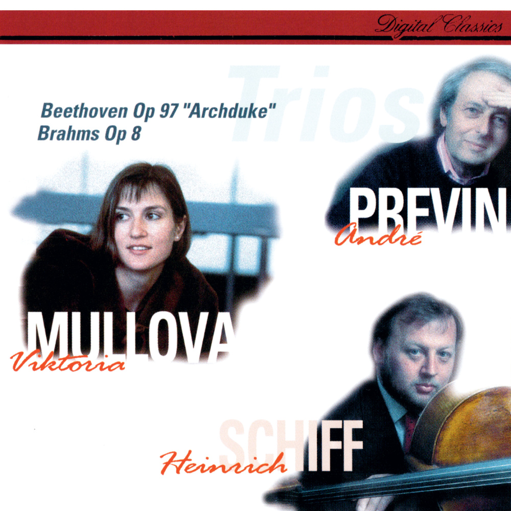 Brahms: Piano Trio No. 1 in B Major, Op. 8: IV. Finale. Allegro