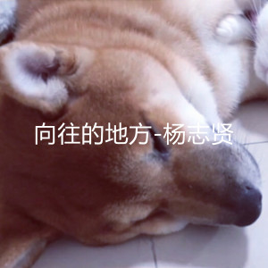 ดาวน์โหลดและฟังเพลง 向往的地方 พร้อมเนื้อเพลงจาก 杨志贤
