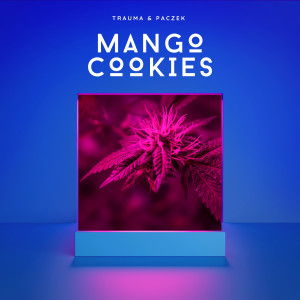 Mango Cookies (Explicit)