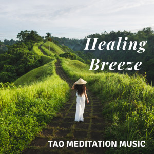 收听Meditative Mantra Zone的Cloud Above the Forest歌词歌曲