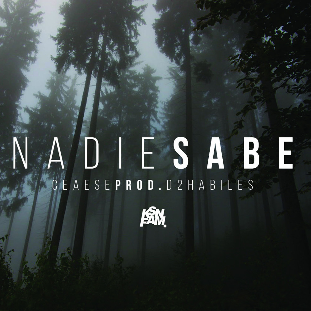 Nadie Sabe