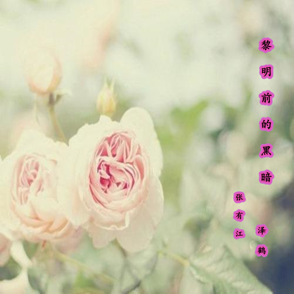 黎明前的黑暗 (伴奏)