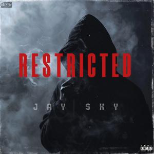 Bill Medley的專輯RESTRICTED (feat. Bill Medley, John Waite & Pluko) [Explicit]