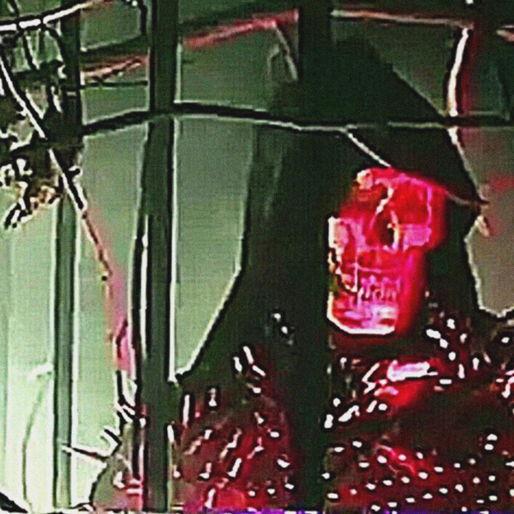 LA Cypher, Pt. 2 (feat. Seejayxo, Xoxoswitch, ashes. & Noahmadethiss) (Explicit)