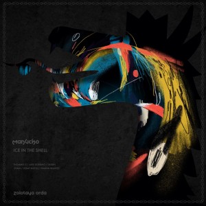 Listen to Ice in the Shell (Thommie G Remix) song with lyrics from manucho