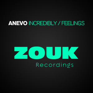 Dengarkan Feelings (Radio Edit) lagu dari Anevo dengan lirik