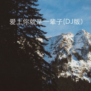 Listen to 爱上你就是一辈子 (DJ版) song with lyrics from 7妹