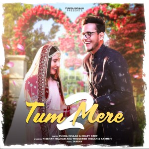 Listen to TUM MERE 2 song with lyrics from Fukra Insaan