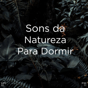 Nature Sounds Nature Music的专辑!!" Sons da Natureza Para Dormir "!!