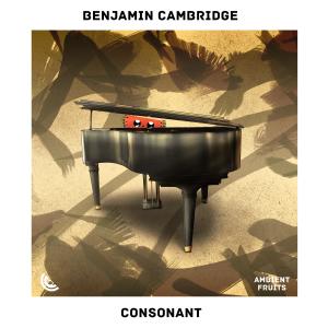 Listen to Consonant song with lyrics from Benjamin Cambridge